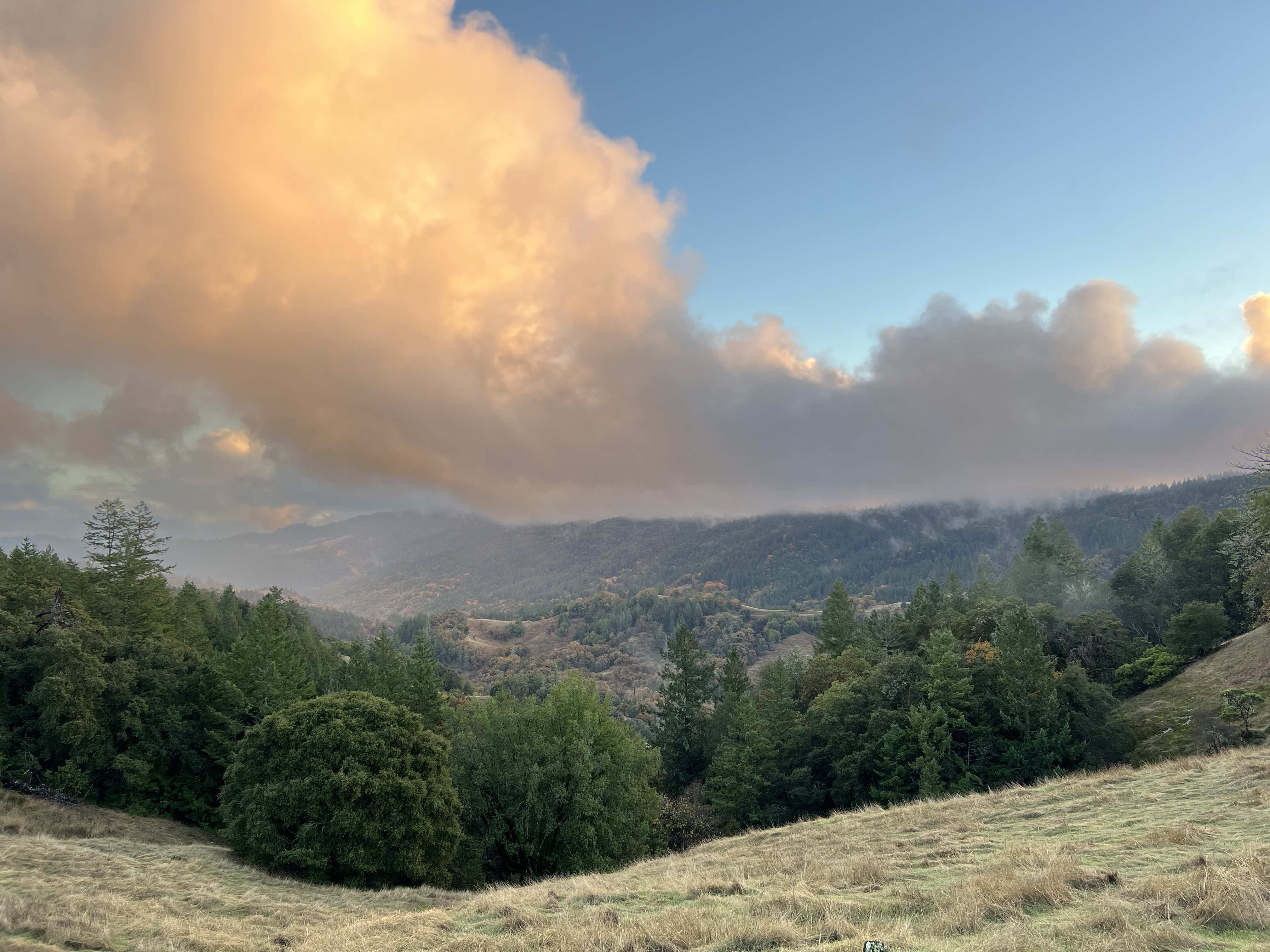 The other end of autumn