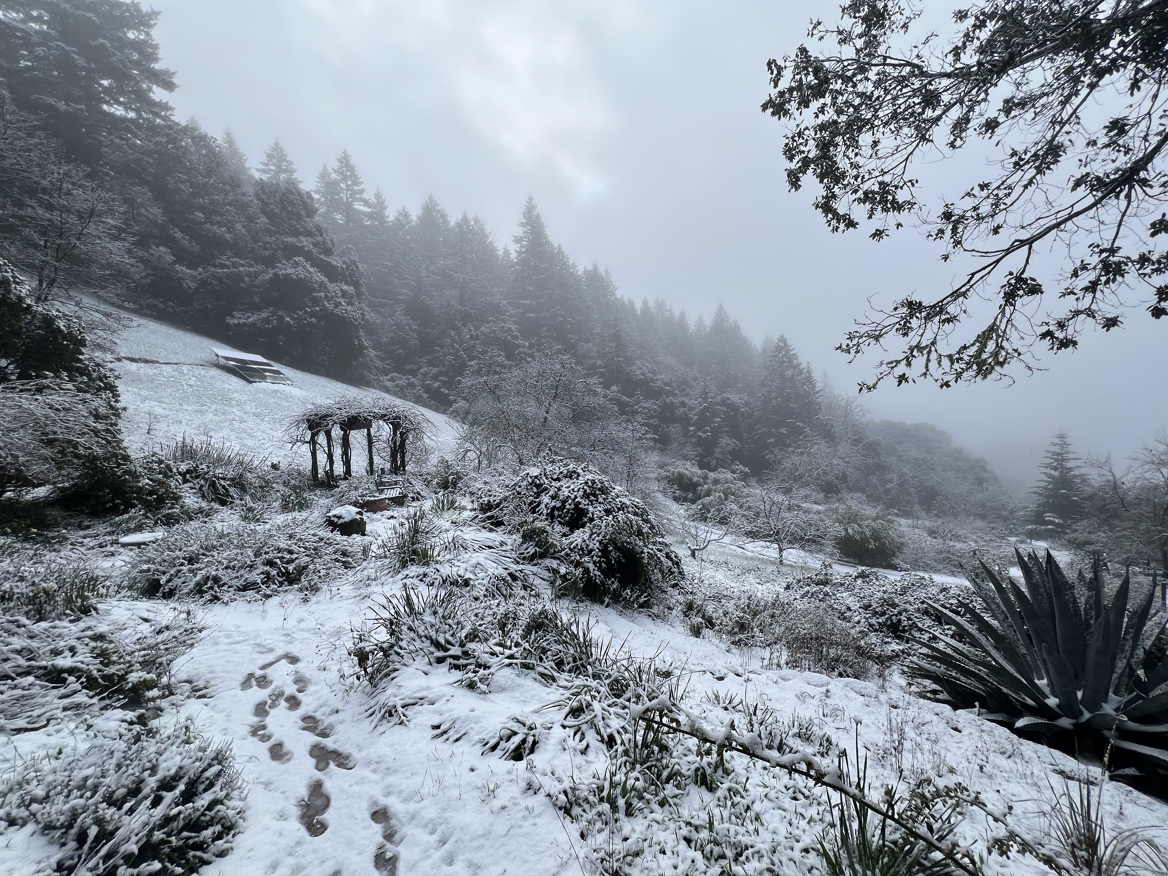 A snow-globe weekend