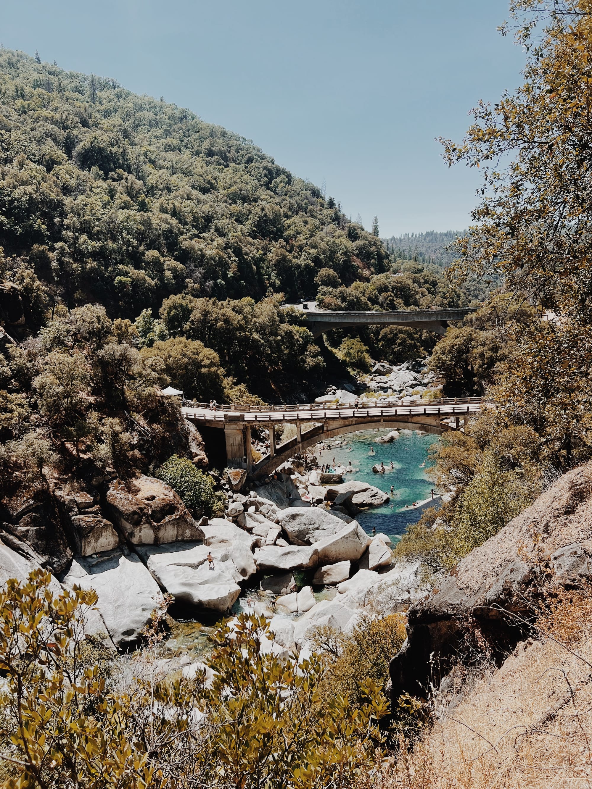 A swimming-pool pilgrimage