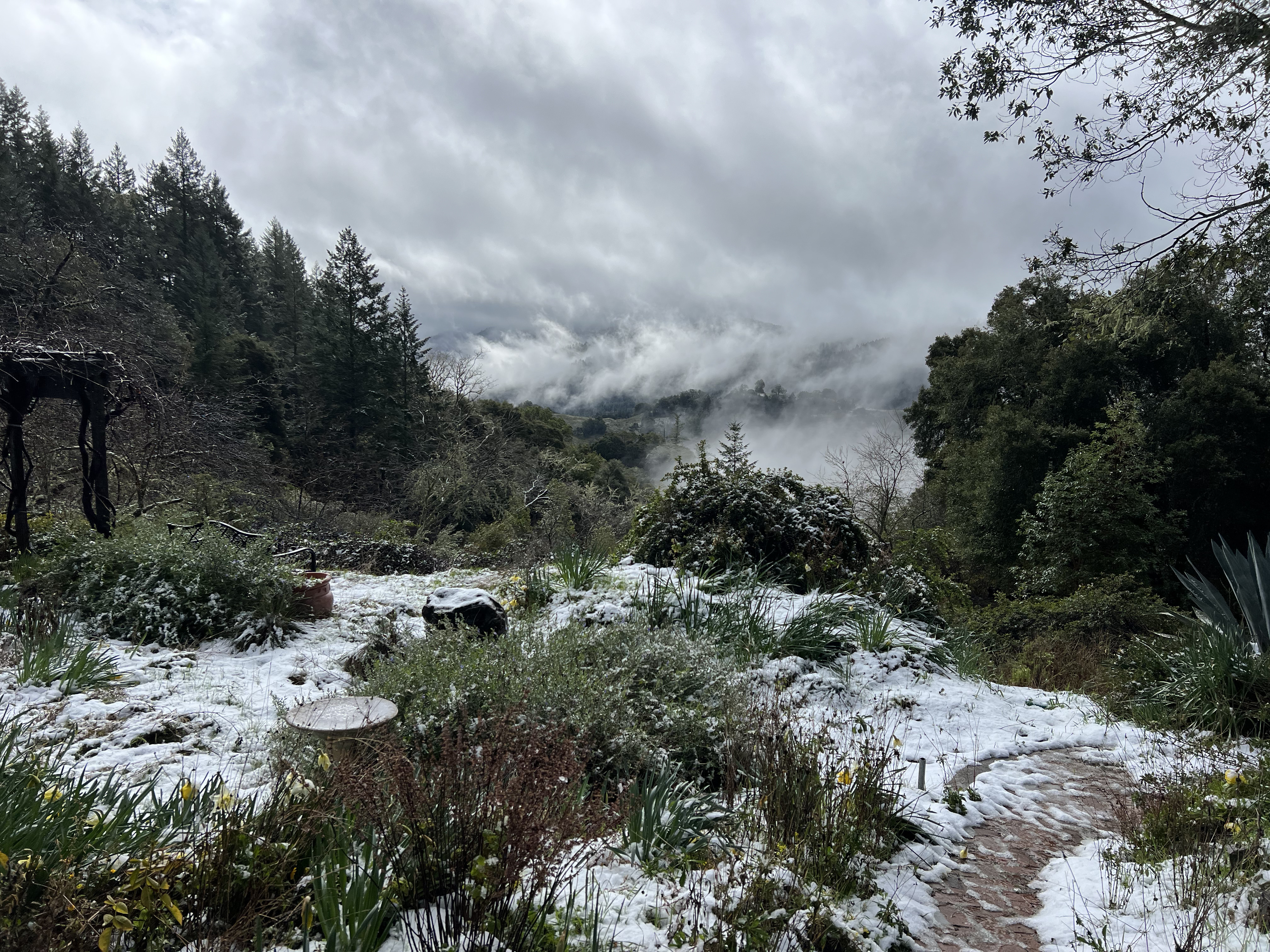 A snow-globe weekend