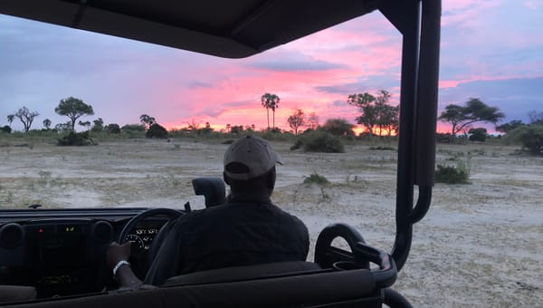 The saudade safari