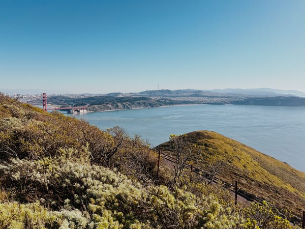 California flaunts herself