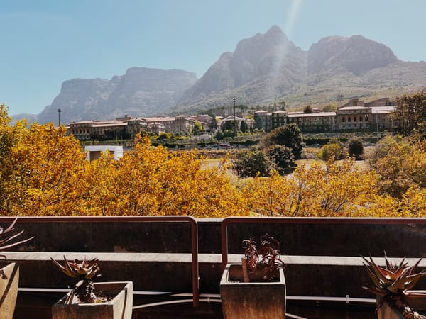 scenes from a campus story